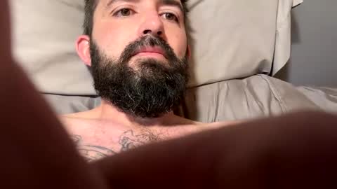 Fun online show from December 2024 01:40:02 PM