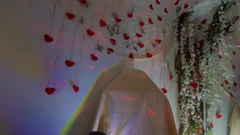 Snapshot of seductive_flower chatting on February 2026 10:05:01 AM Mali online show from February 2026 10:05:01 AM