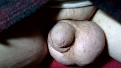 seeus24 online show from November 2025 07:07:01 AM