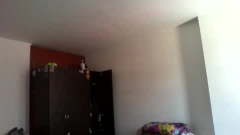 semental24cm online show from December 2025 01:39:02 PM