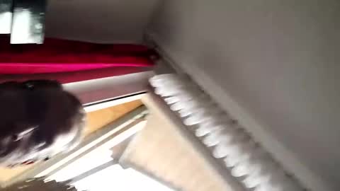 senda82 online show from January 2025 09:39:01 AM