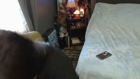 Tara online show from February 2025 04:00:02 PM