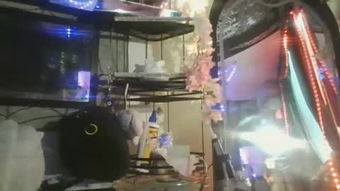 Snapshot of sequoia8888 chatting on October 2025 07:26:02 PM sequoia8888 online show from October 2025 07:26:02 PM