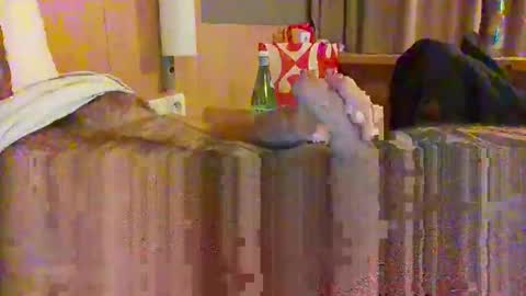 serialfucka69 online show from October 2025 06:56:01 PM