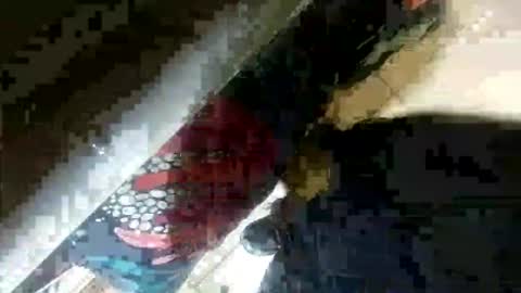 seus1149 online show from July 2026 07:06:02 AM