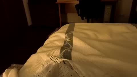 Snapshot of sevenorder chatting on January 2025 05:04:02 AM sevenorder online show from January 2025 05:04:02 AM