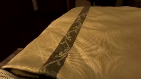 Snapshot of sevenorder chatting on January 2025 06:43:02 AM sevenorder online show from January 2025 06:43:02 AM