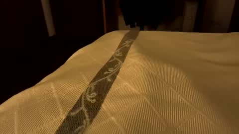 Snapshot of sevenorder chatting on January 2025 07:51:02 AM sevenorder online show from January 2025 07:51:02 AM