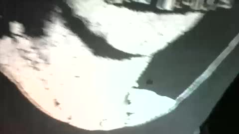 Snapshot of sexdeiv chatting on March 2026 03:02:01 AM sexdeiv online show from March 2026 03:02:01 AM