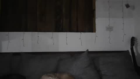 Trixy Rose online show from January 2025 05:41:02 AM