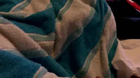 Snapshot of sexplorer54321 chatting on February 2025 01:30:02 AM Sexplorer54321 online show from February 2025 01:30:02 AM