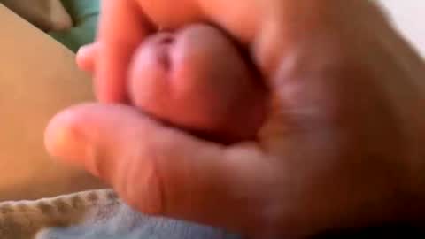 Snapshot of sexplorer54321 chatting on September 2025 09:48:01 PM Sexplorer54321 online show from September 2025 09:48:01 PM