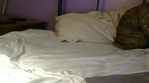 Snapshot of sexxxylibra10 chatting on April 2026 07:55:02 PM sexxxylibra10 online show from April 2026 07:55:02 PM