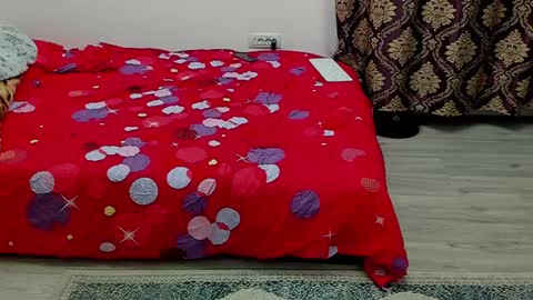 Sexxymuscles4U online show from January 2025 11:15:02 AM