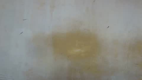 sexy_candy9 online show from November 2025 09:53:02 AM