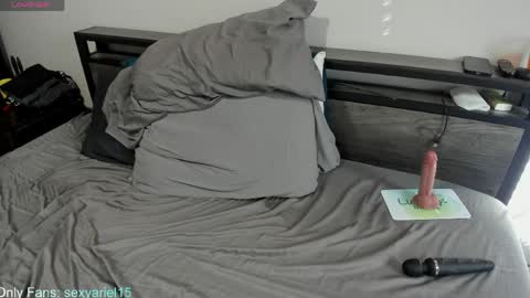 SexyAriel15 online show from April 2026 04:04:02 PM