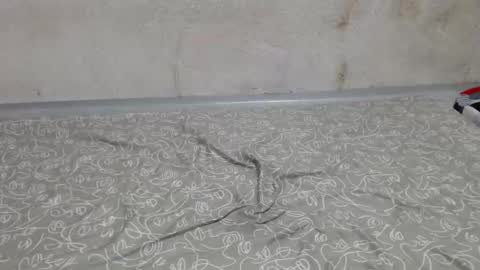 SexyFebLove22 online show from January 2025 11:33:01 PM