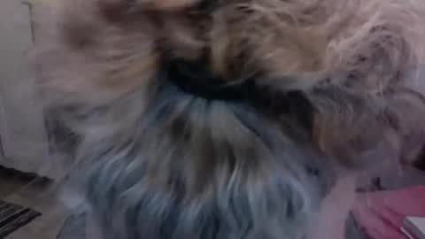 SexyFit58 online show from December 2024 01:57:02 AM