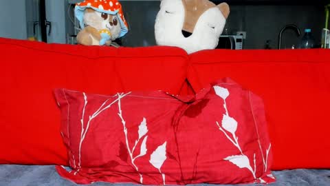 Ari online show from December 2024 05:11:01 PM