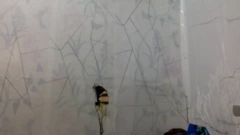 miss jade so online show from April 2026 11:50:02 AM