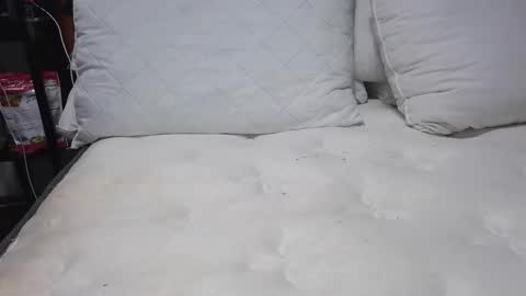 sexystephanie04 online show from April 2026 10:26:02 PM