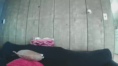 sexystripper69 online show from February 2025 10:09:01 PM