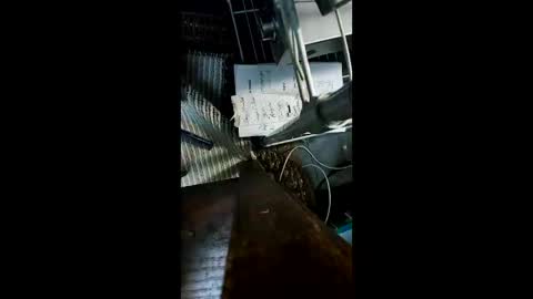 shagz2much online show from December 2024 09:00:02 AM