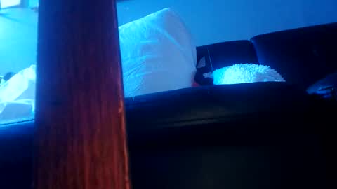 shagz2much online show from January 2025 10:41:02 PM