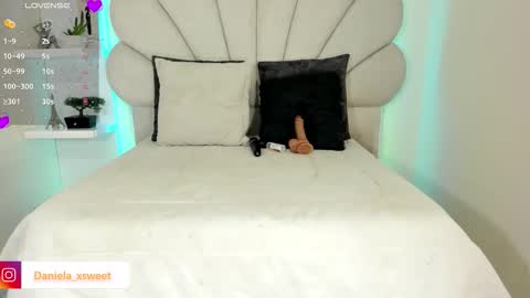 shairytovar online show from February 2026 06:29:02 AM