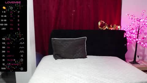 Snapshot of shanel_passion chatting on February 2025 05:47:02 AM Shanel online show from February 2025 05:47:02 AM