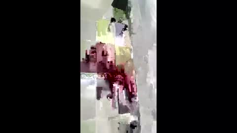 shanelle7 online show from January 2026 12:10:02 PM