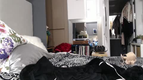 Shannon07 online show from January 2025 02:50:01 AM