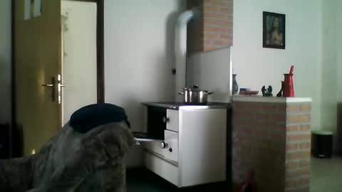 Snapshot of shaomy711 chatting on December 2024 09:44:01 AM excelo21 online show from December 2024 09:44:01 AM