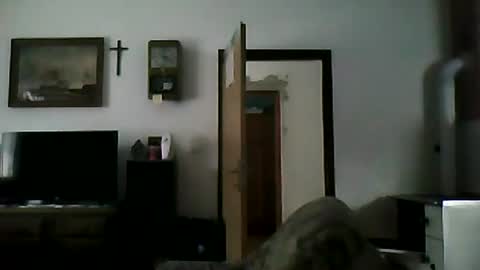 Snapshot of shaomy711 chatting on January 2025 01:19:02 PM excelo21 online show from January 2025 01:19:02 PM