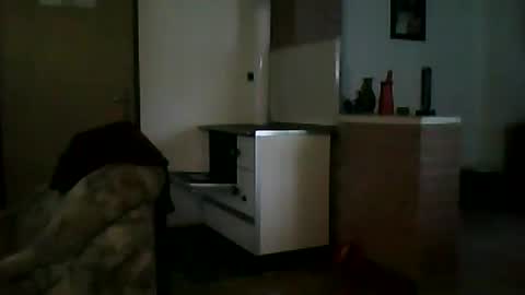 Snapshot of shaomy711 chatting on January 2025 07:32:01 AM excelo21 online show from January 2025 07:32:01 AM