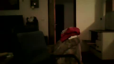 Snapshot of shaomy711 chatting on January 2025 06:02:01 PM excelo21 online show from January 2025 06:02:01 PM