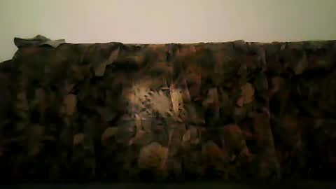 Snapshot of shaomy711 chatting on February 2025 07:21:01 PM excelo21 online show from February 2025 07:21:01 PM