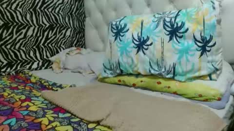 sharlot03 online show from February 2025 11:56:01 AM