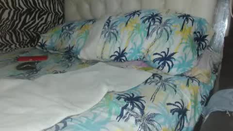 sharlot03 online show from February 2025 11:21:02 AM