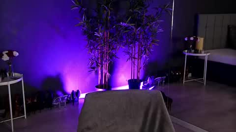 Snapshot of shayblonde chatting on February 2025 08:54:02 AM shayblonde online show from February 2025 08:54:02 AM