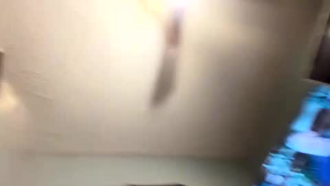 Snapshot of sheepydoggy45 chatting on January 2025 01:29:01 AM sheepydoggy45 online show from January 2025 01:29:01 AM