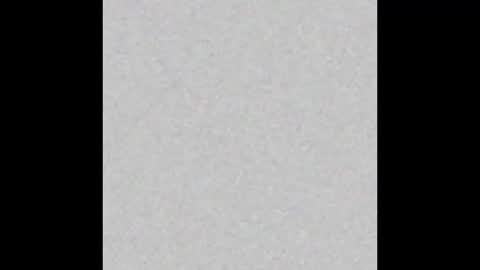 shellykblack online show from December 2025 05:47:02 AM