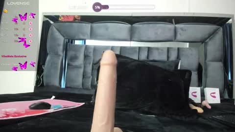 Snapshot of shengyi_blue chatting on February 2025 08:51:02 AM  anyela7773 online show from February 2025 08:51:02 AM