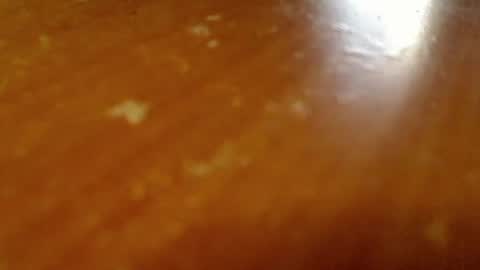 shieldmetoday online show from February 2026 11:37:01 PM