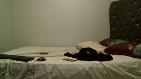 Snapshot of shiro254 chatting on October 2025 08:04:02 PM Shi-ro online show from October 2025 08:04:02 PM