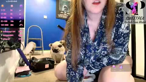 short sweetpea online show from January 2026 10:20:01 AM