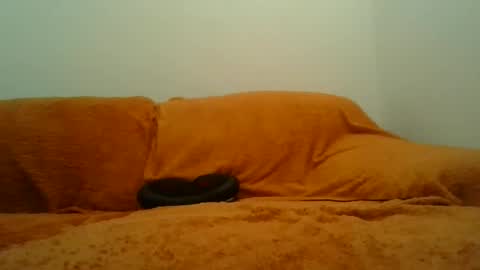 Snapshot of showherenow chatting on March 2026 08:18:01 AM showherenow online show from March 2026 08:18:01 AM