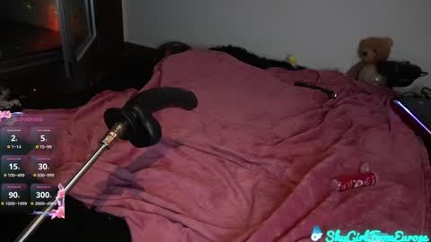 Snapshot of shygirlfromeurope chatting on January 2025 12:28:01 AM Vivian online show from January 2025 12:28:01 AM