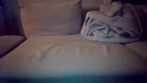 Snapshot of shyrunnerfet chatting on February 2026 12:31:01 AM shyrunnerfet online show from February 2026 12:31:01 AM