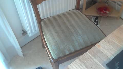 Snapshot of sibblii0 chatting on March 2025 11:19:01 AM Seba online show from March 2025 11:19:01 AM